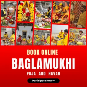Online Maa Baglamukhi Puja & Havan