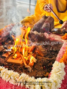 Baglamukhi-Havan-Baglamukhi-Pujan-Baglamukhi-Image-Baglamukhi-Photo-10-scaled.webp